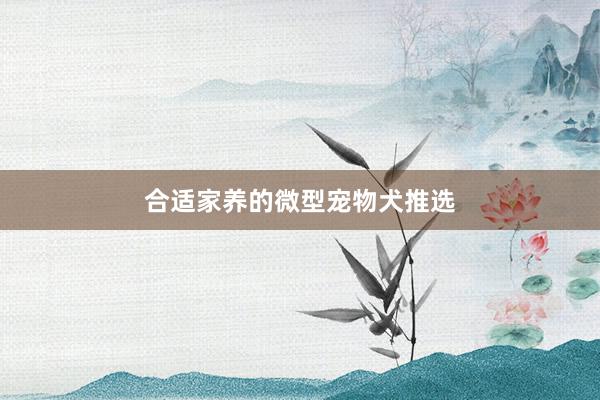 合适家养的微型宠物犬推选