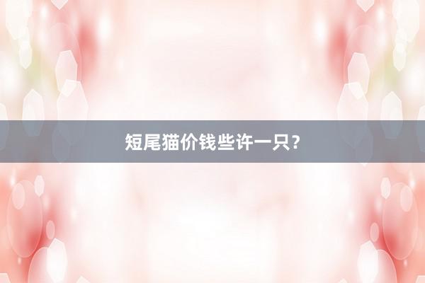 短尾猫价钱些许一只?